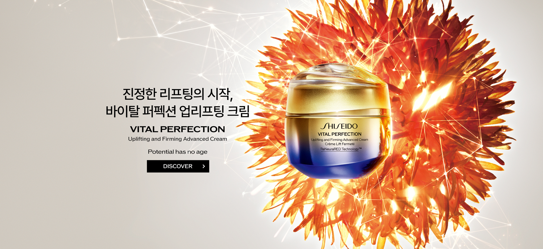 Potential Has No Age DISCOVER