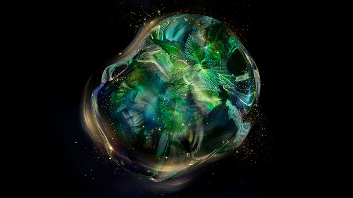 FUTURE SOLUTION LX BENEFIT